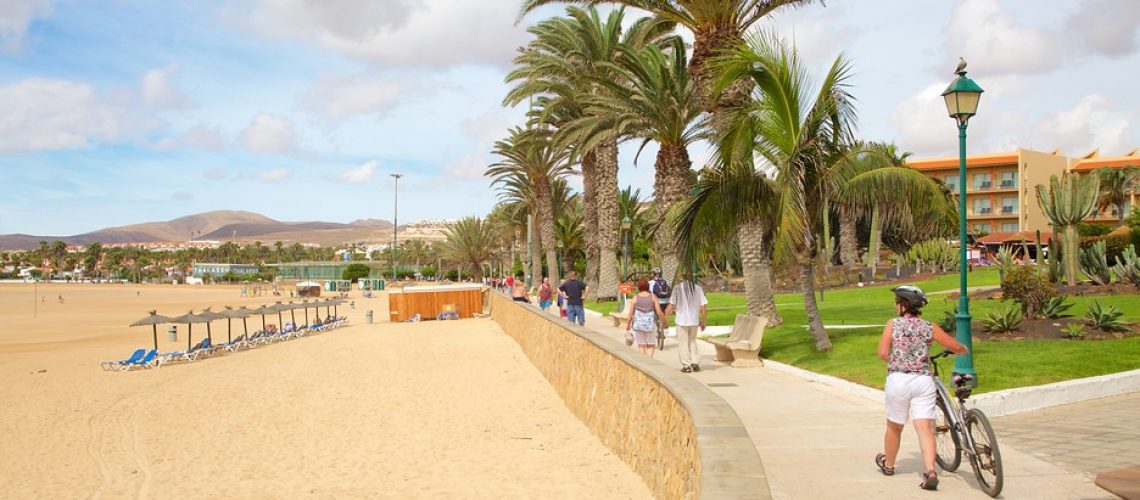 Fuertaventura Holiday rental (13)